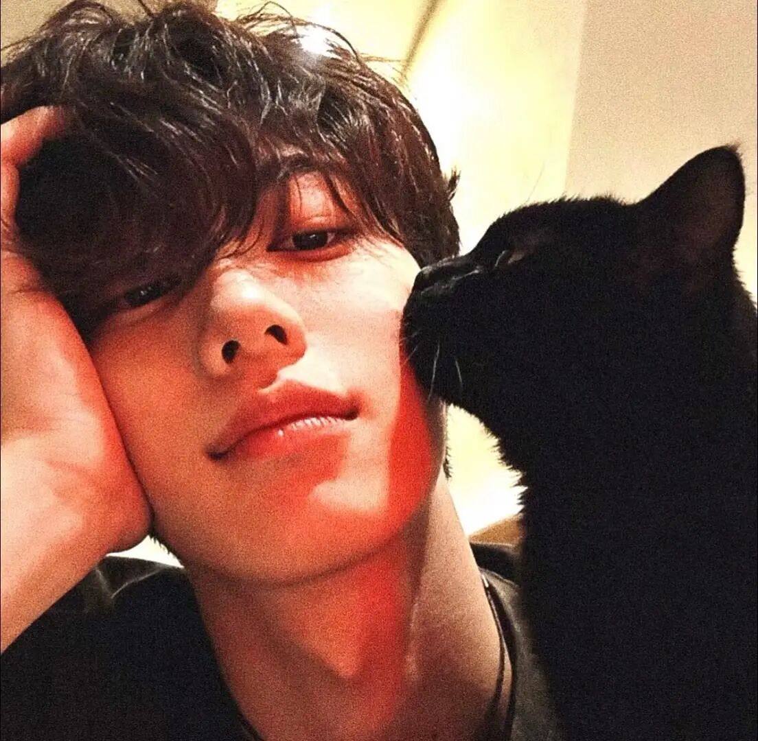 抱着猫咪痞帅男生头像