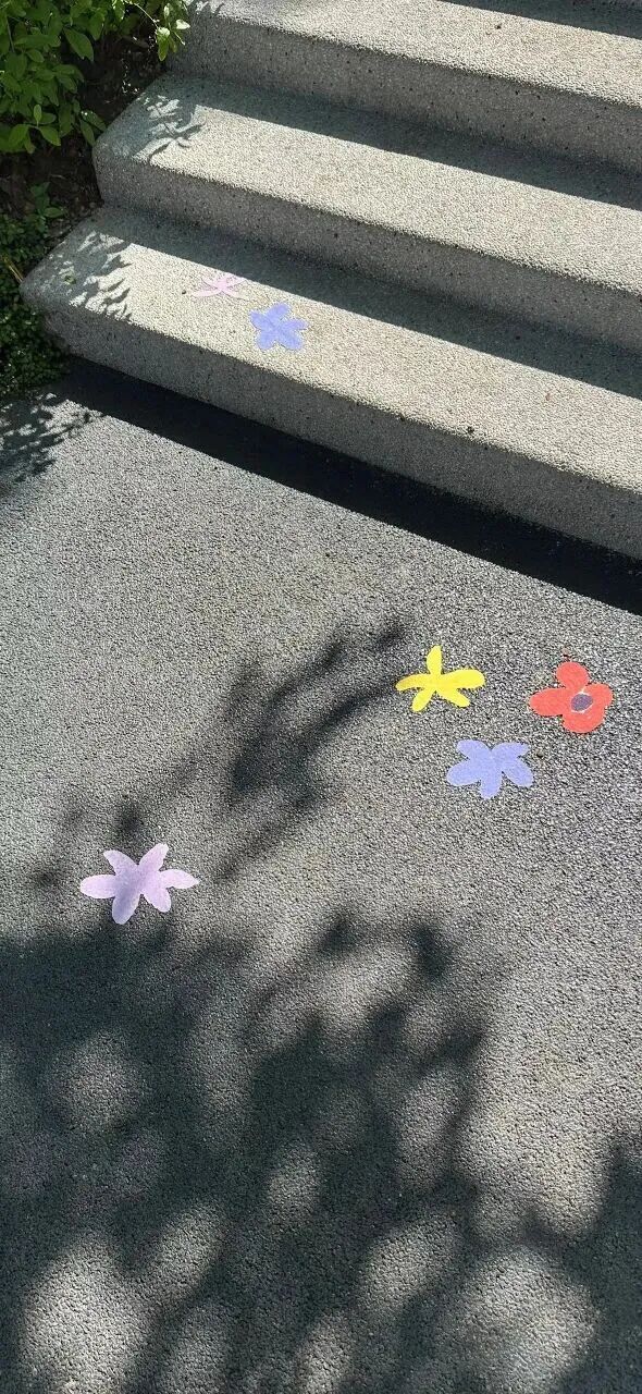 风景