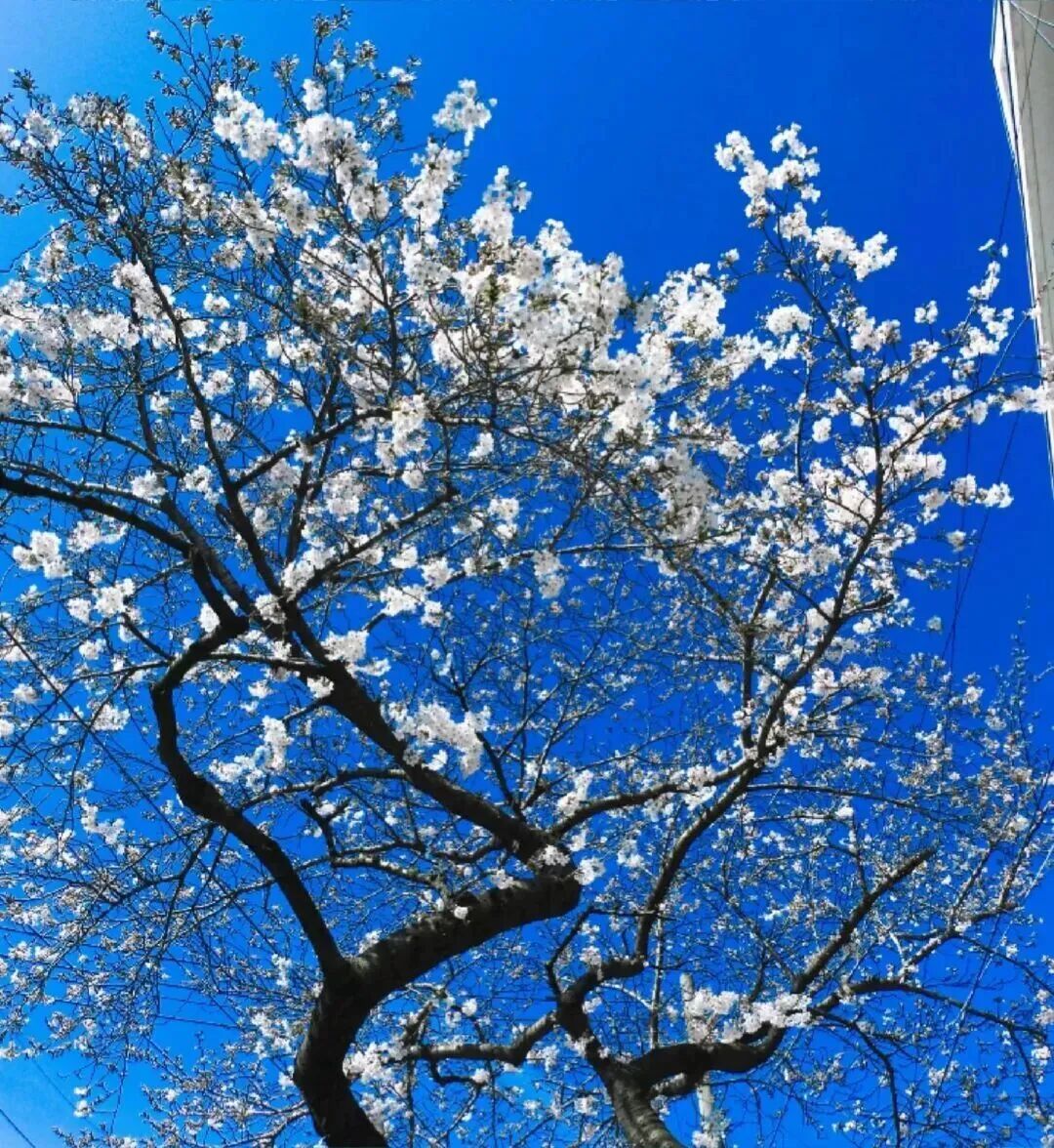 蓝色背景图