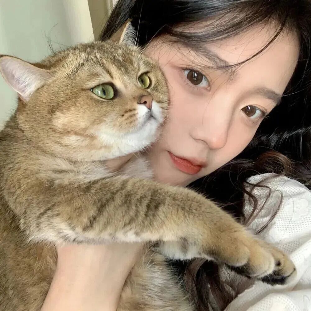 nbcareplmbvxialuote抱着猫咪单人真人情侣头像