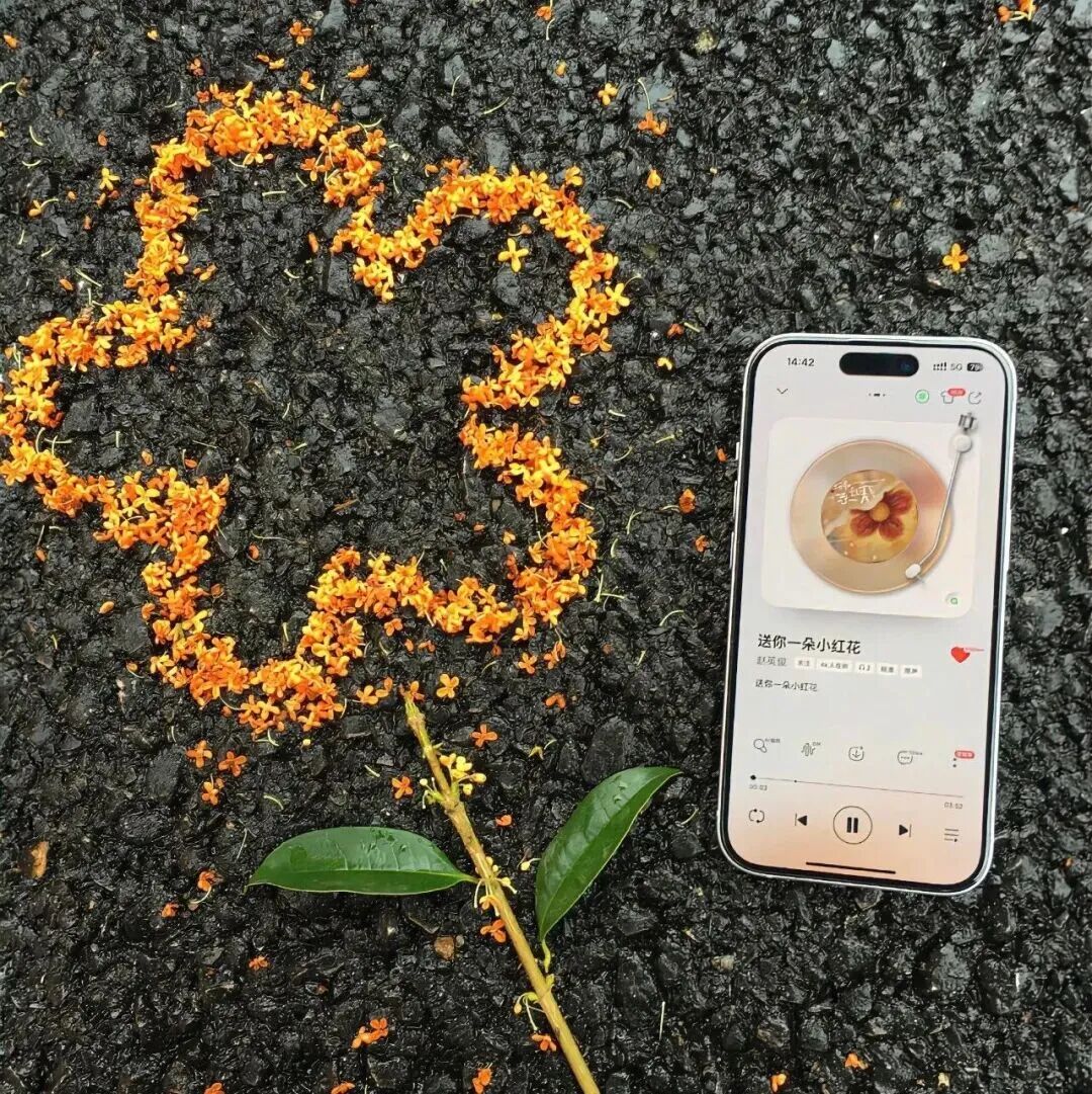 枫叶秋天朋友圈背景图