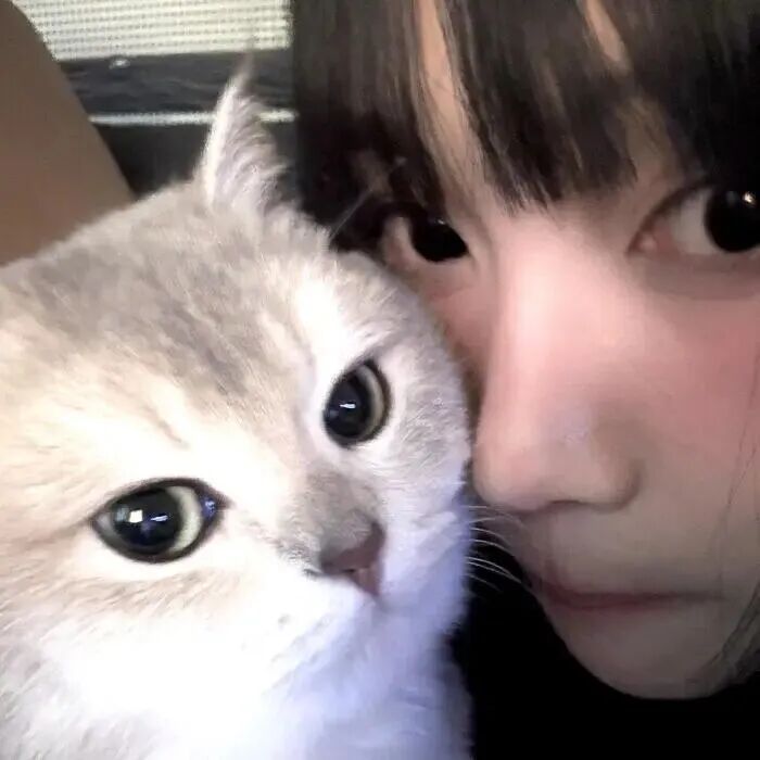 抱着猫咪少萝女生头像