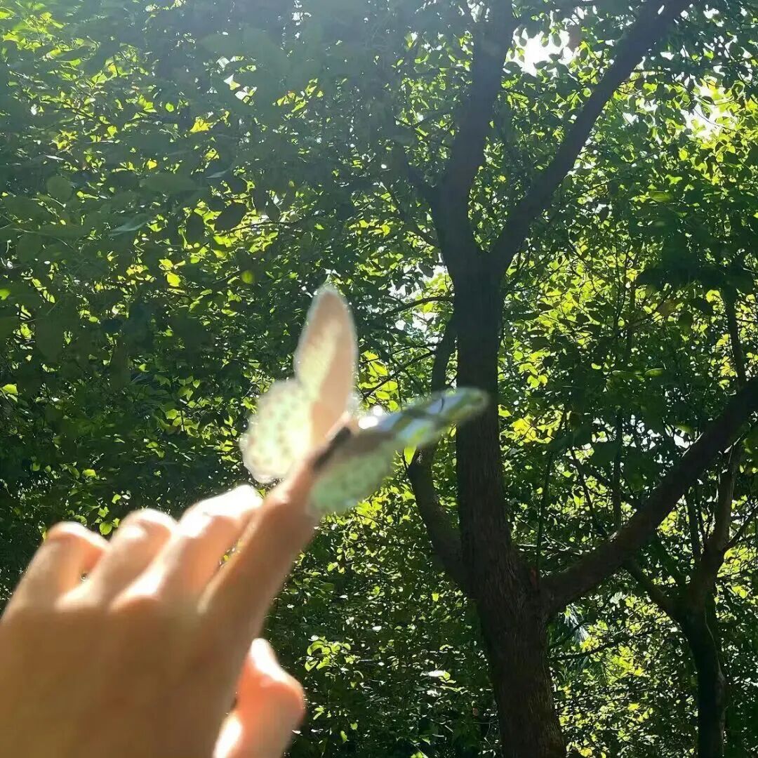 绿色小清新背景图