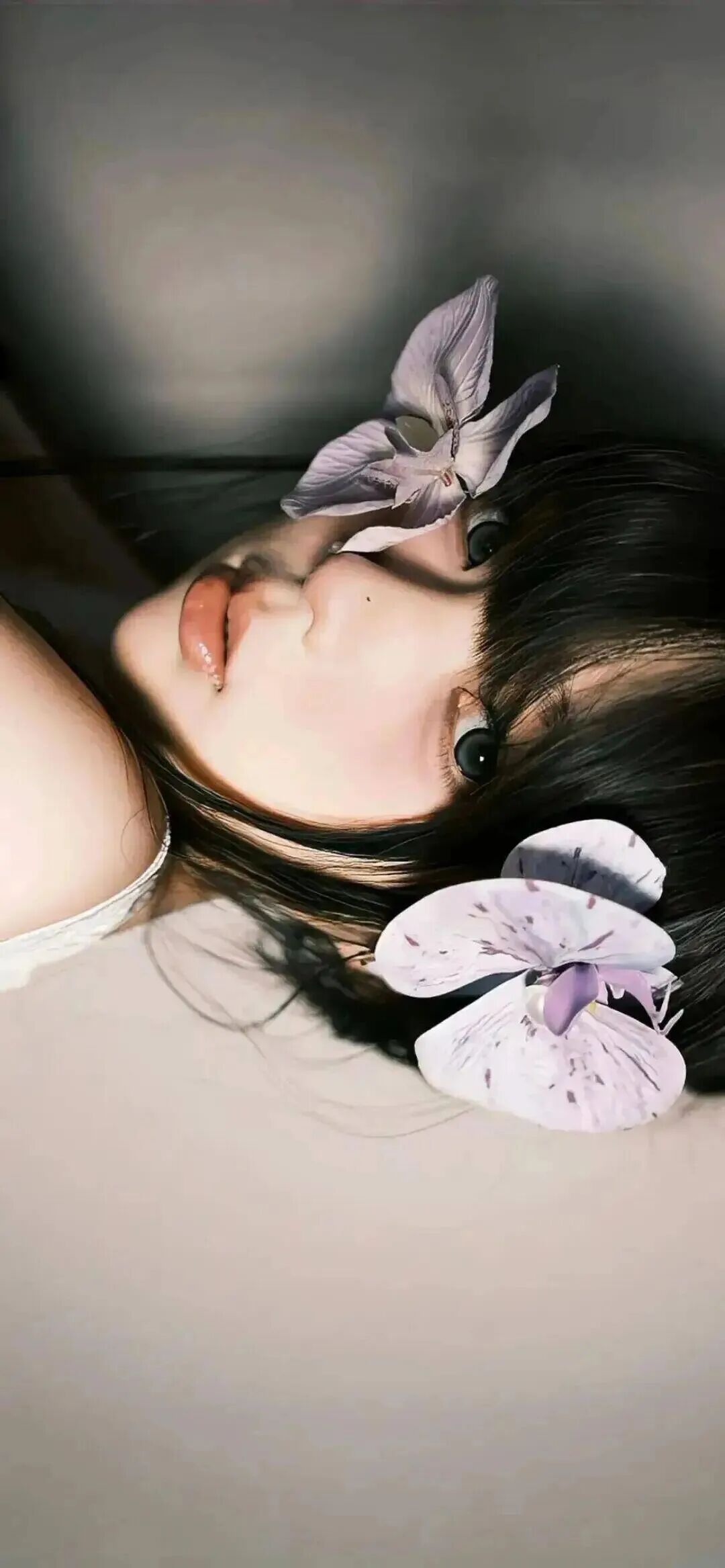 抖音热门