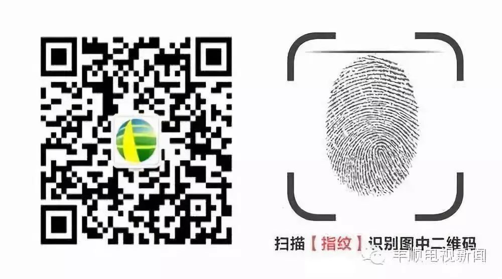 单车交通事故信息报道