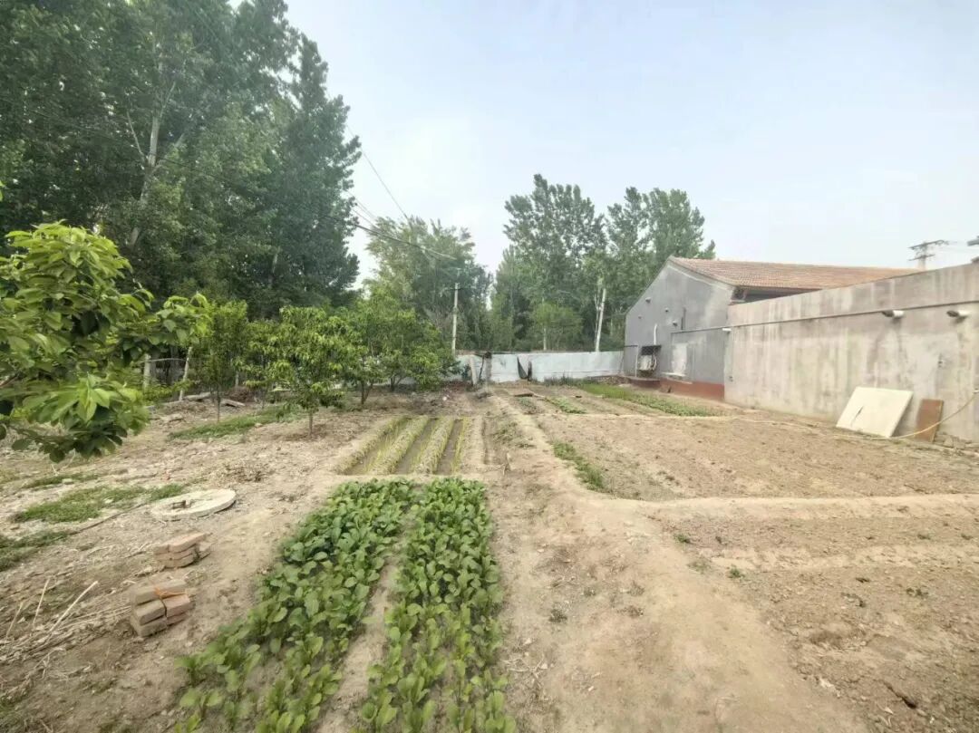 漷县镇农村精装大院  左右滑动查看更多图片 >院子位于北京市通州区