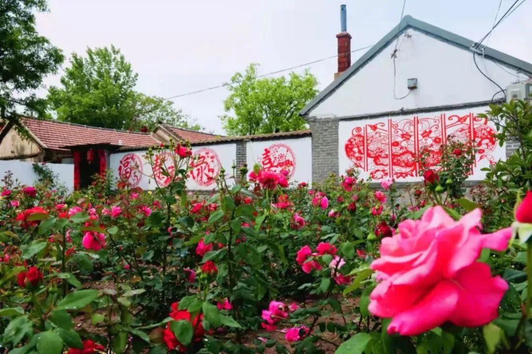 芝樱花开筝好有你龙口市黄山馆镇首届民俗文化风筝节即将启幕