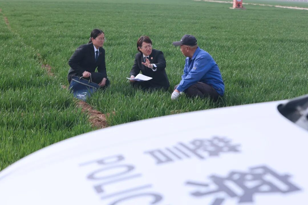 微信图片_20260325100914_605_9.jpg