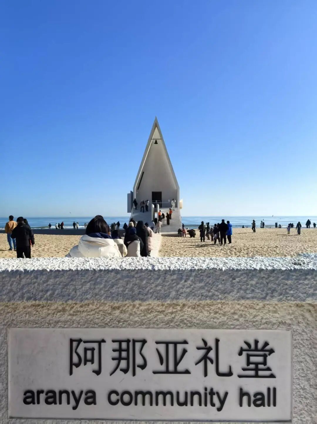 序号（17） 提交时间（2025/2/17 8:53:52）