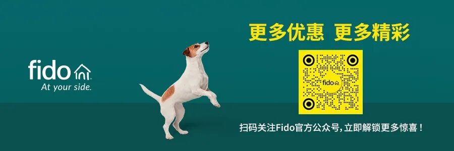 惊爆！加航载百人客机爆发传染性病毒，国际航班被迫停飞，全员遭赶下飞机（组图） - 4