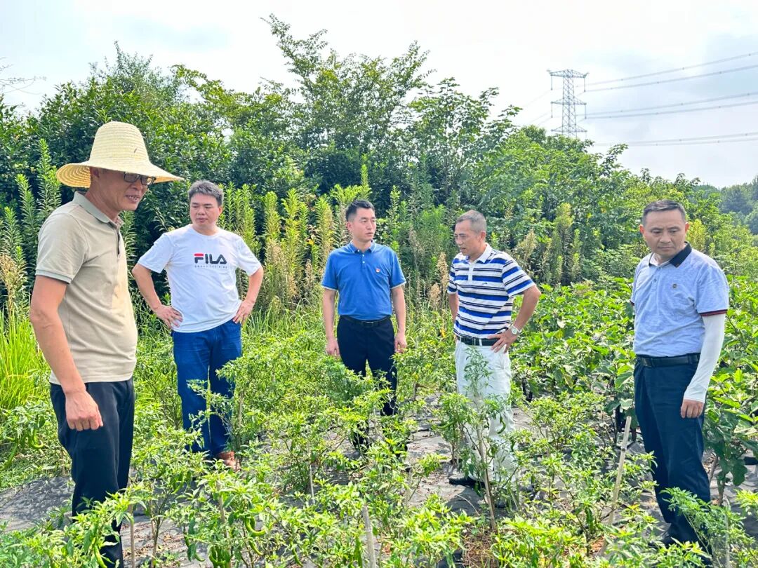 正版综合资料全年资料