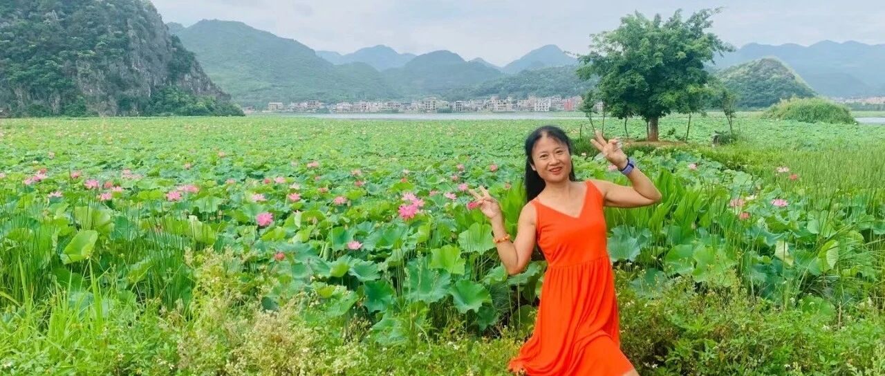 【青春语文·邹洁瑜专栏】岩溶湿地，湖泊峰林，荷花世界，鱼鸟天堂——2023年7月云南昆明石林普者黑游记