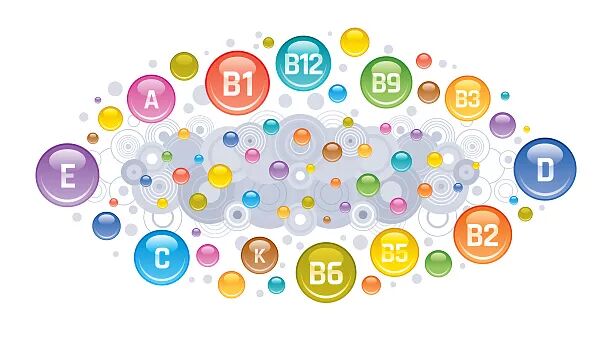 蔬菜水果中维生素有什么作用_维生素a有哪些食物和水果蔬菜_蔬菜水果中维生素