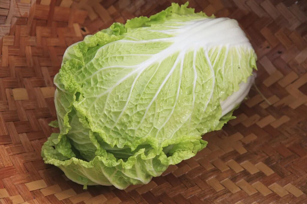 寒潮预警！降温20℃！这七个御寒误区您中招了吗？