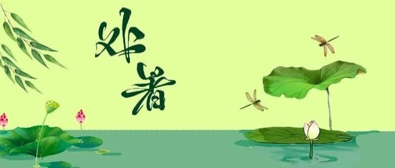 今日处暑 | 你不知道的养生秘诀！