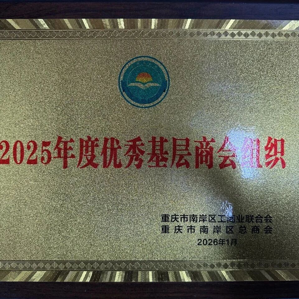 南岸区青年企业家商会