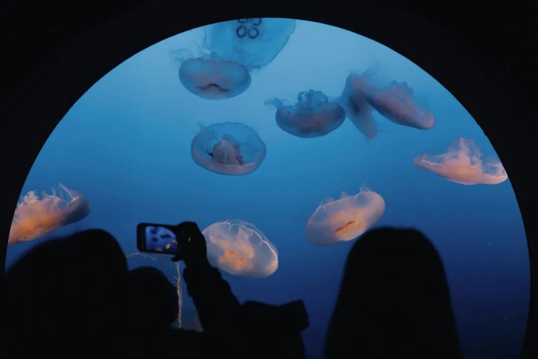 答题思路拓展:“VR新闻的伦理风险”的2种答题思路7080 作者: 来源: 发布时间:2024-9-5 17:23