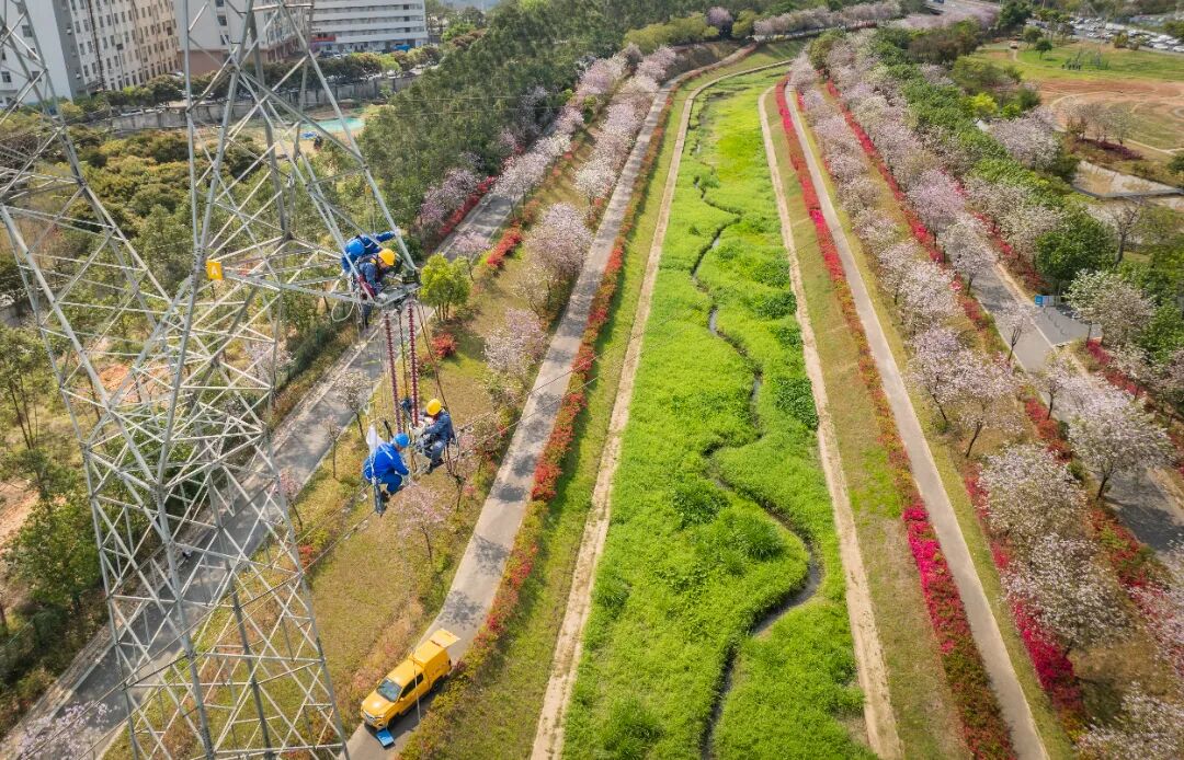南方电网深圳供电局工作人员对十五运赛事所涉线路进行检修，保障电力可靠供应。（黄海鹏 摄）.jpg