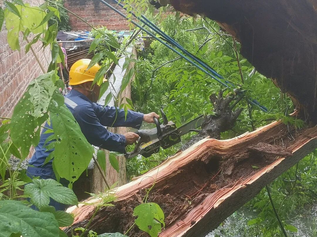 6月15日，南方电网广东清远阳山供电局岭背黄坌供电所接到客户紧急反映，犁头塘下村有线路被大风刮落地面，存在严重安全隐患。岭背黄坌供电所迅速启动应急响应，第一时间组织抢修人员携带工具赶赴现场。（麦俊轩 贝莹莹）.jpg
