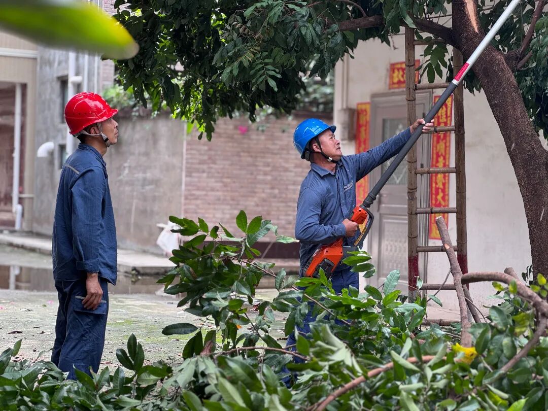 6月15日，南方电网广东湛江廉江供电局安铺供电所党员突击队开展台风过境后特巡，清理供电通道的残余树障。杜依蔓 摄.jpg