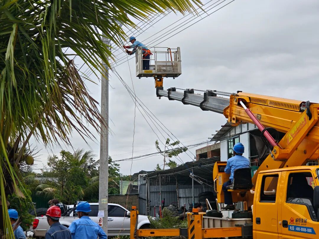 南方电网海南乐东供电局工作人员在承担着一批国家南繁育种基地供电任务的10千伏望新线开展抢修作业。（庄泽坤 卢欣 袁卅）.jpg