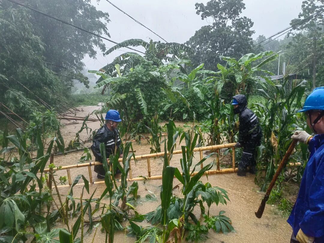 6月14日，南方电网广西新电力集团玉林供电公司福绵供电所工作人员对10kV古城线社岗支线进行故障巡视、抢修 邱耀能 摄.jpg
