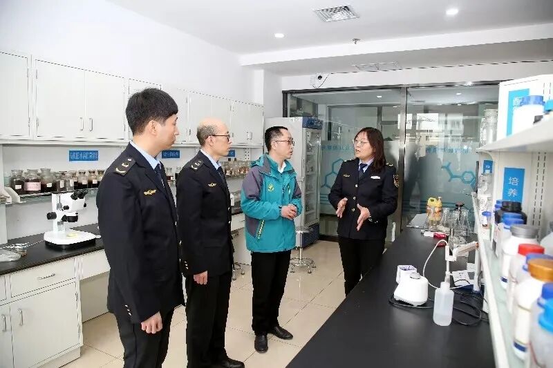 《邢台市特色产业集群标准质量品牌提升“十五五”行动方案》印发__《邢台市特色产业集群标准质量品牌提升“十五五”行动方案》印发