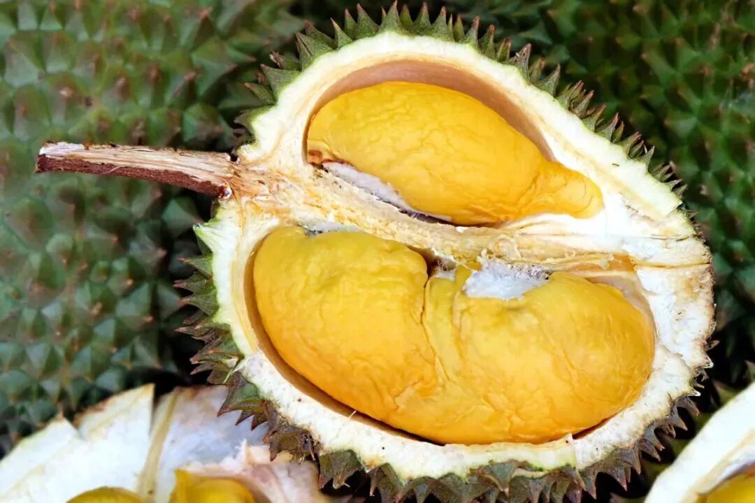 旅游攻略!马来西亚超详细的旅行景点推荐与入境须知，快收藏起来！