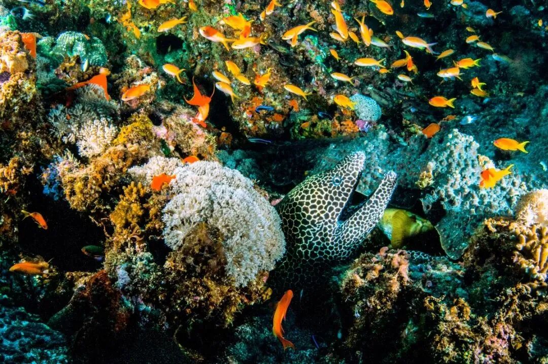 旅游攻略!马来西亚超详细的旅行景点推荐与入境须知，快收藏起来！