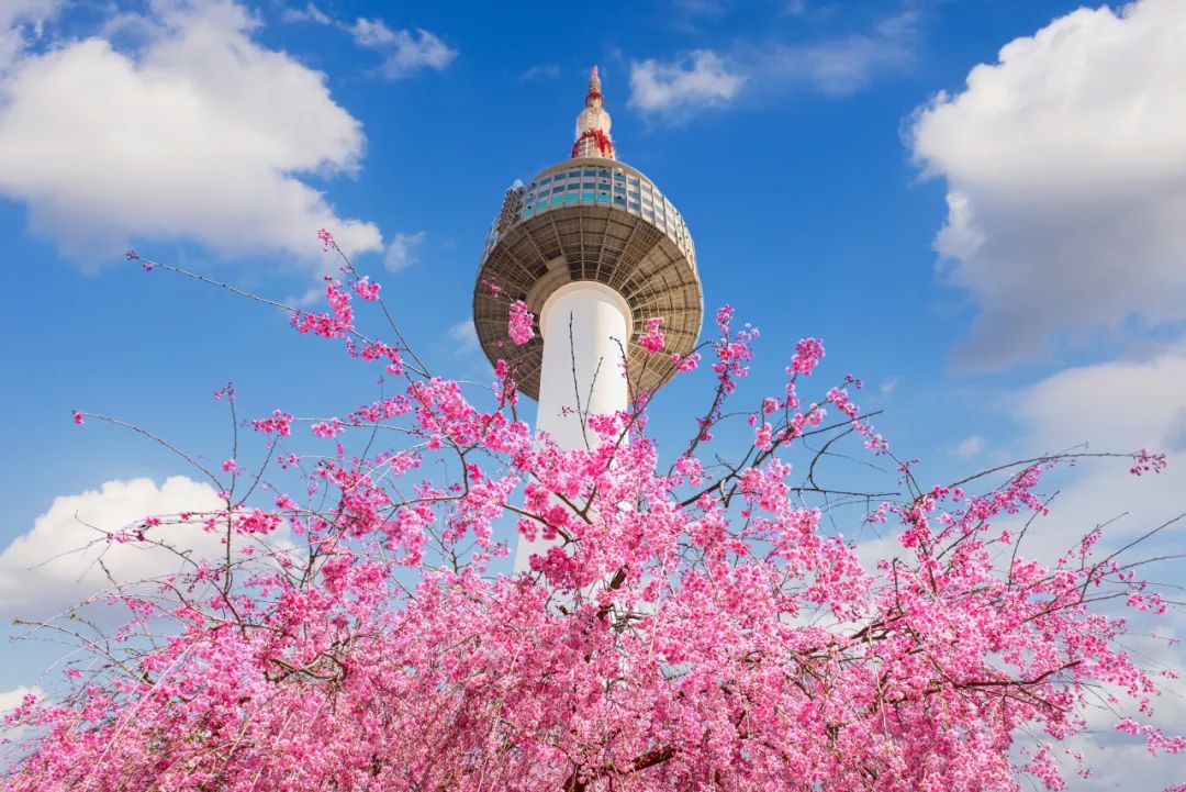 首尔标志性建筑图片图片