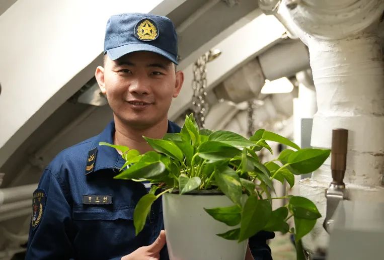 绿植3.JPG