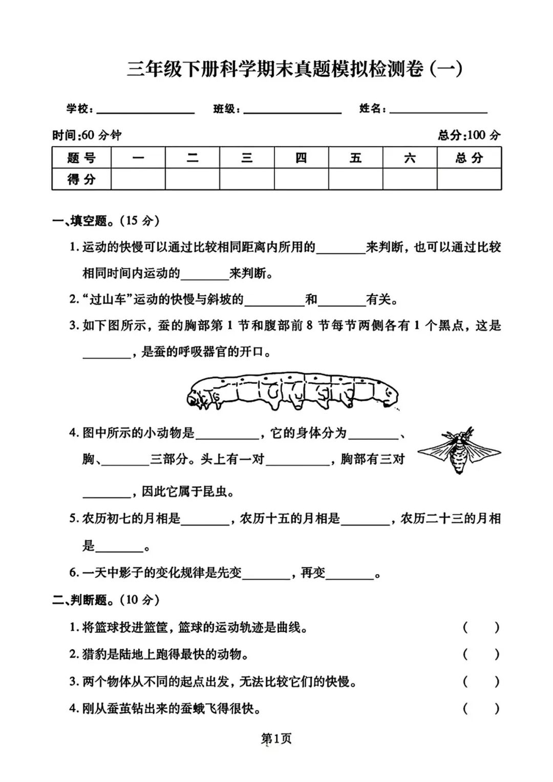 三年级科学下册｜《期末真题模拟检测卷》（3套含答案）附电子版可打印