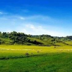 王海珍‖游关山草原有吟(组诗)