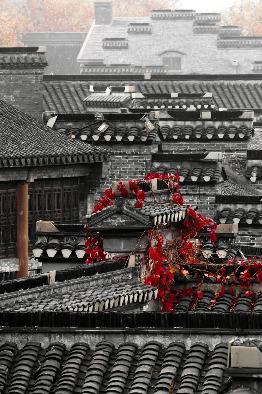 江苏“最小”的城市，面积只有苏州的1/2，比苏州浪漫，比杭州安逸，美到辛弃疾都赞不绝口！