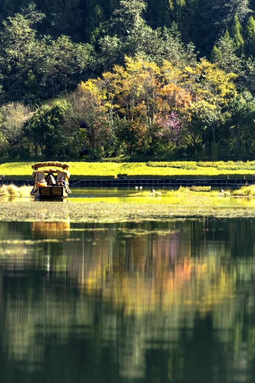 超适合“发呆”的小城，比昆明宜居，游客不及大理一半，四季如春，3元茶水免费续，10元咖啡喝到爽，洗掉一身班味儿！