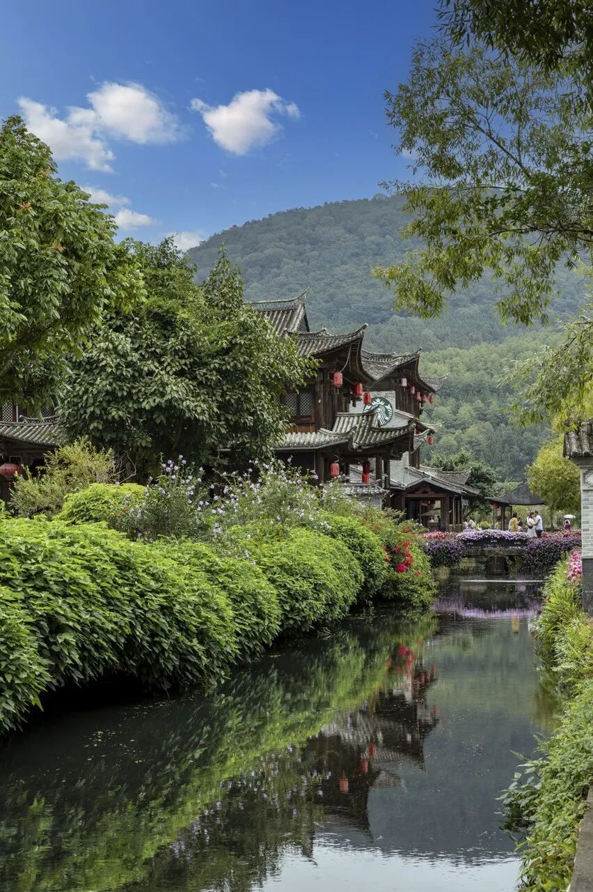 超适合“发呆”的小城，比昆明宜居，游客不及大理一半，四季如春，3元茶水免费续，10元咖啡喝到爽，洗掉一身班味儿！