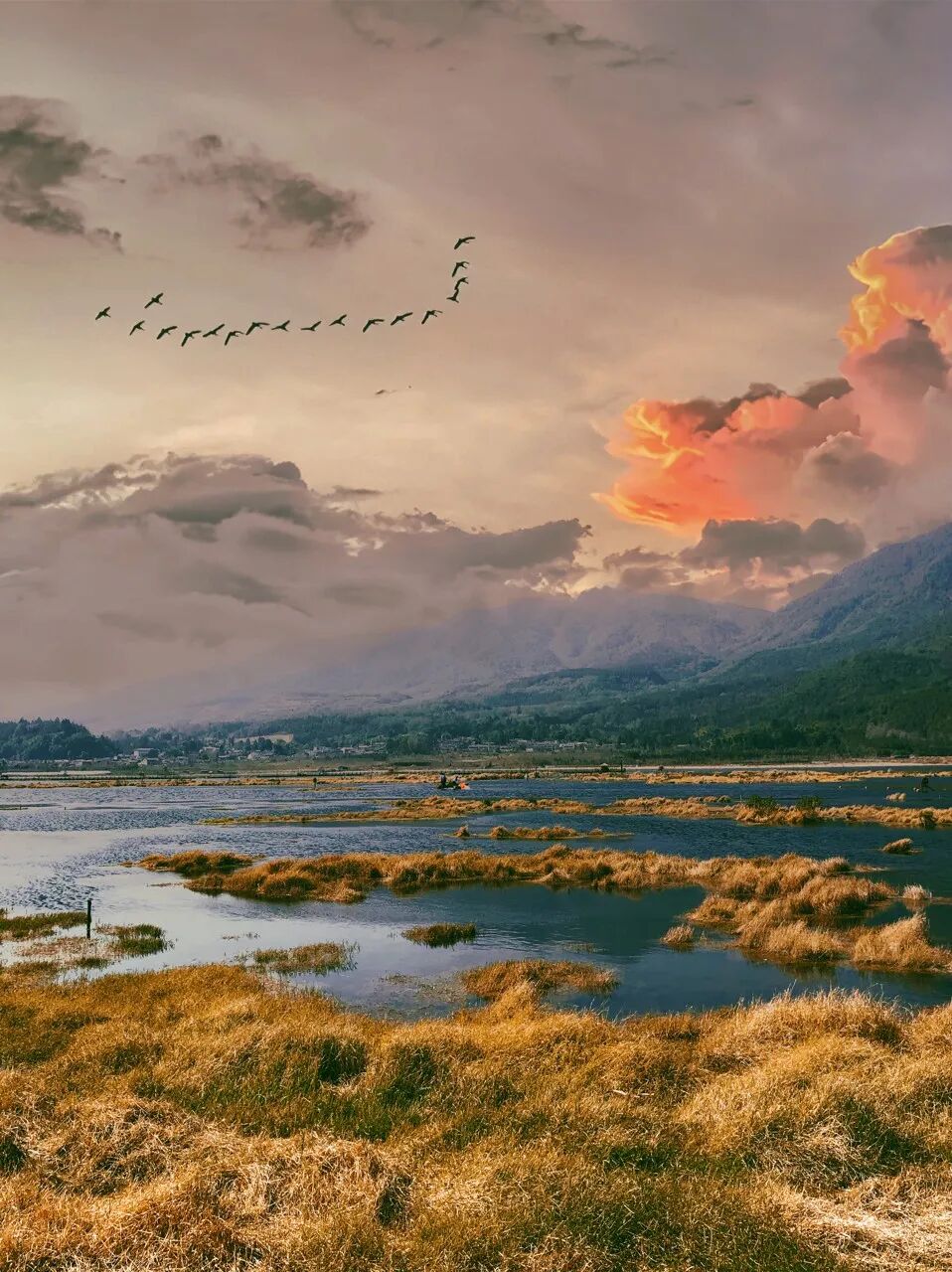 超适合“发呆”的小城，比昆明宜居，游客不及大理一半，四季如春，3元茶水免费续，10元咖啡喝到爽，洗掉一身班味儿！