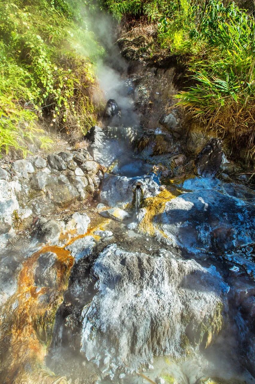 超适合“发呆”的小城，比昆明宜居，游客不及大理一半，四季如春，3元茶水免费续，10元咖啡喝到爽，洗掉一身班味儿！