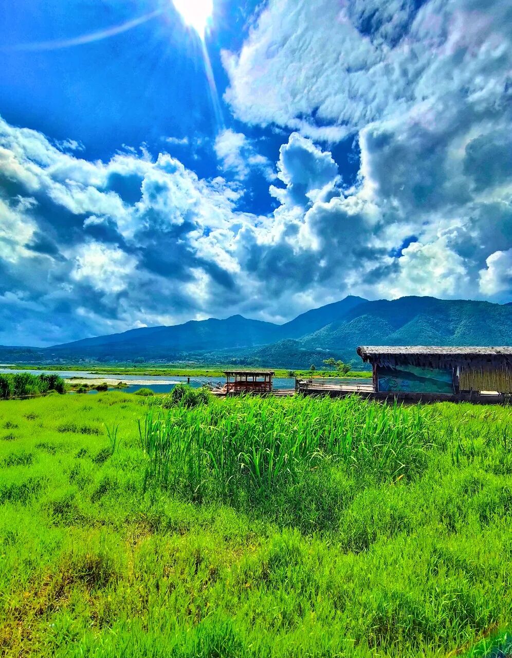 超适合“发呆”的小城，比昆明宜居，游客不及大理一半，四季如春，3元茶水免费续，10元咖啡喝到爽，洗掉一身班味儿！