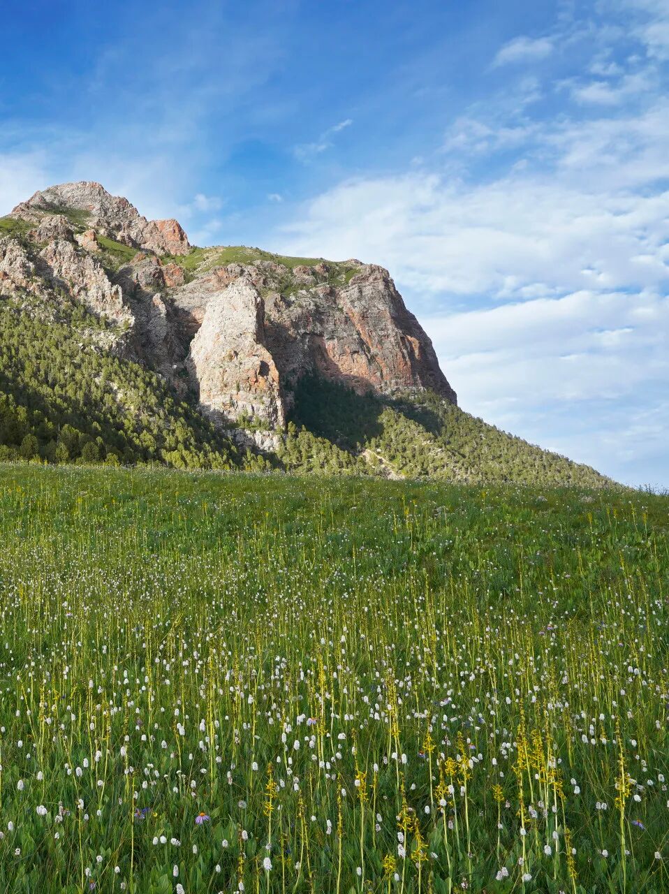中国唯一门票全免的城市，藏着全国首个国家公园，每年只有2000人能进，比西藏更神秘