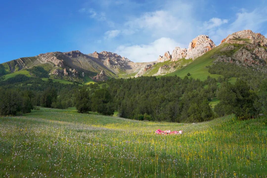 中国唯一门票全免的城市，藏着全国首个国家公园，每年只有2000人能进，比西藏更神秘