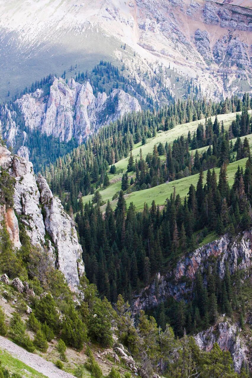 中国唯一门票全免的城市，藏着全国首个国家公园，每年只有2000人能进，比西藏更神秘