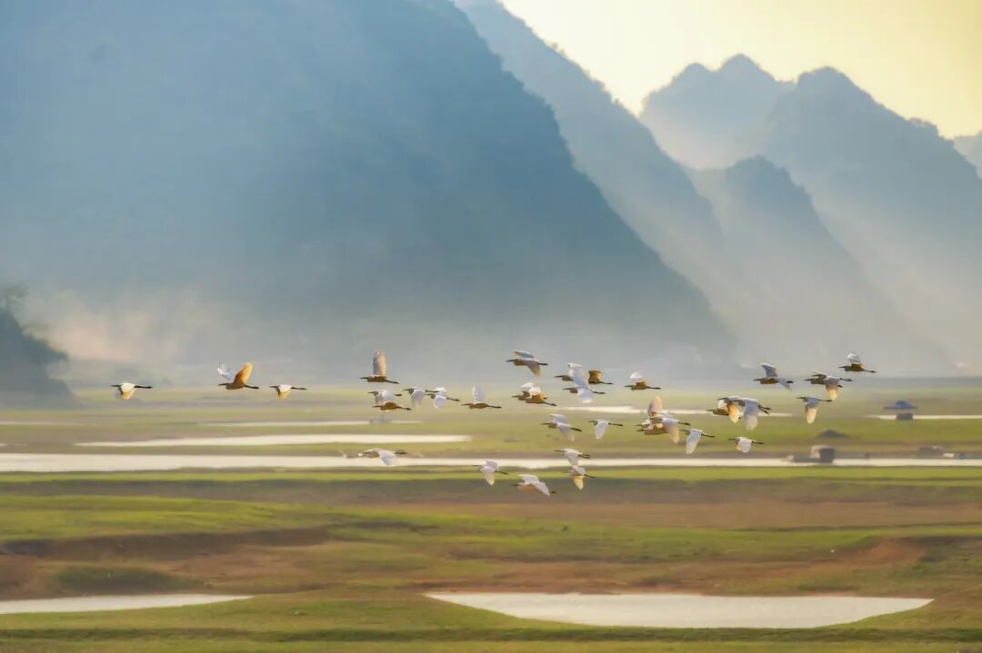 中国最“色”的边境小城，比昆明宜居，比桂林丰满，又甜又野，还稳居世界长寿Top1