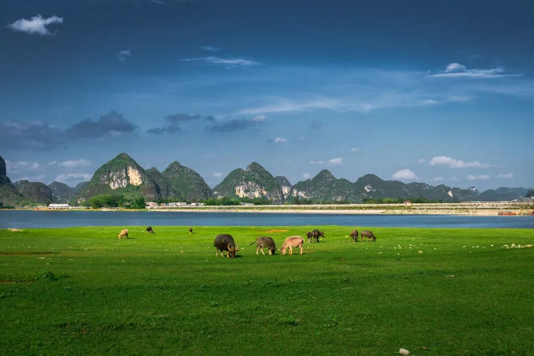 中国最“色”的边境小城，比昆明宜居，比桂林丰满，又甜又野，还稳居世界长寿Top1