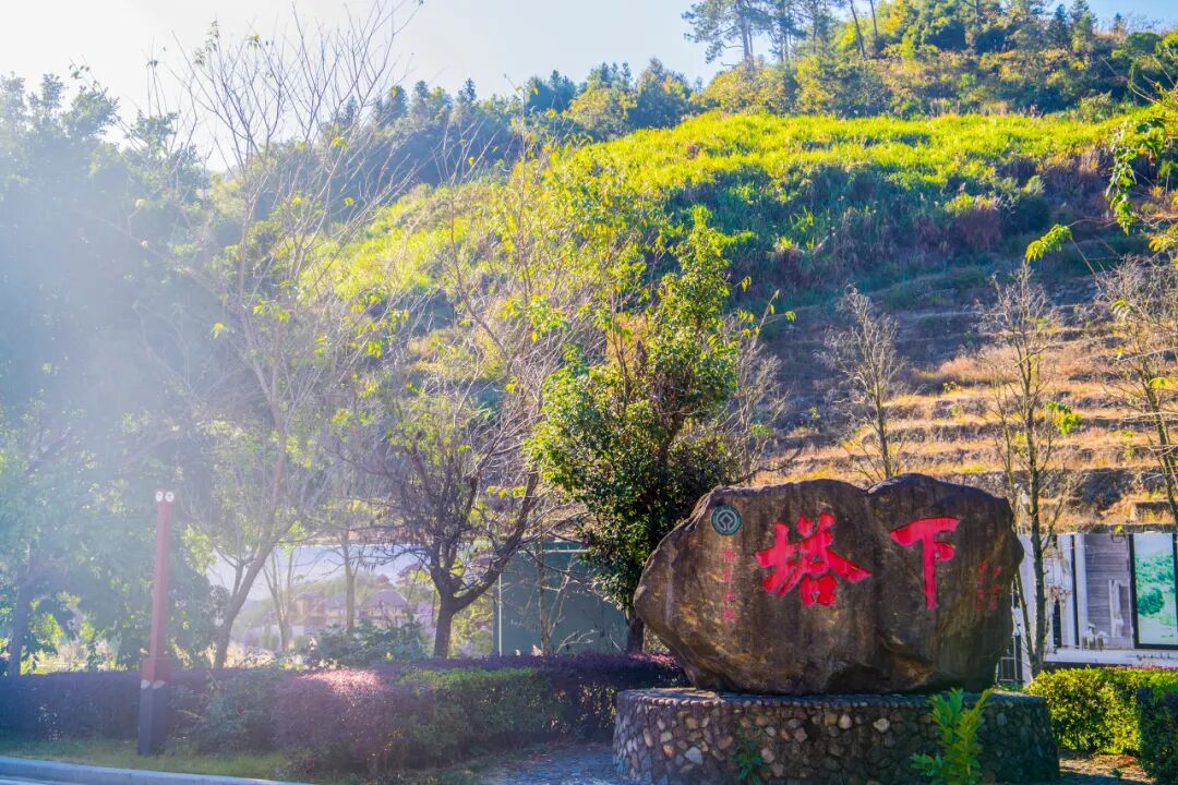 比泉州人少！比厦门文艺！这座超适合北方人过冬养老的古城，好吃好玩节奏慢，安逸到被人遗忘