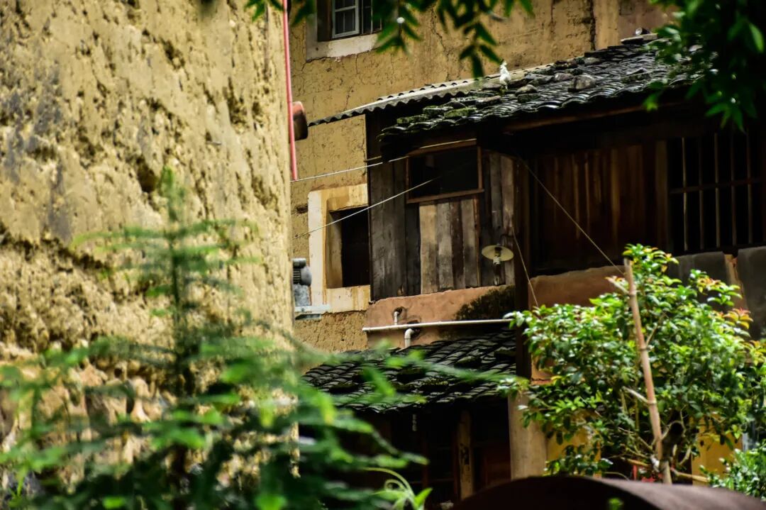 比泉州人少！比厦门文艺！这座超适合北方人过冬养老的古城，好吃好玩节奏慢，安逸到被人遗忘