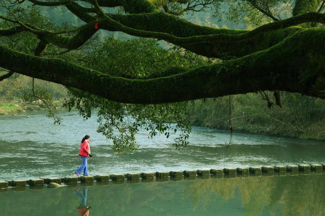 比泉州人少！比厦门文艺！这座超适合北方人过冬养老的古城，好吃好玩节奏慢，安逸到被人遗忘