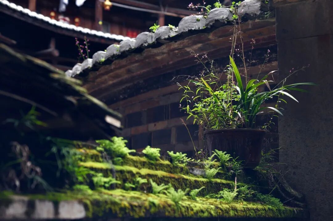 比泉州人少！比厦门文艺！这座超适合北方人过冬养老的古城，好吃好玩节奏慢，安逸到被人遗忘