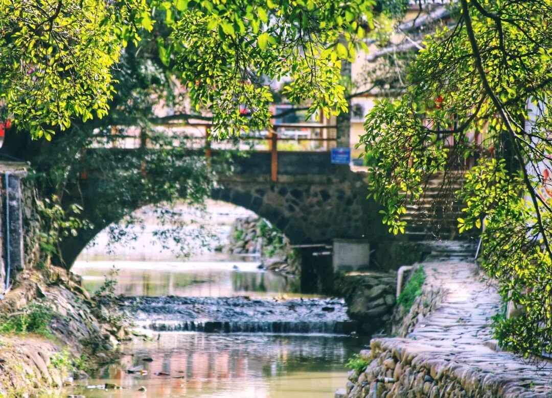 比泉州人少！比厦门文艺！这座超适合北方人过冬养老的古城，好吃好玩节奏慢，安逸到被人遗忘