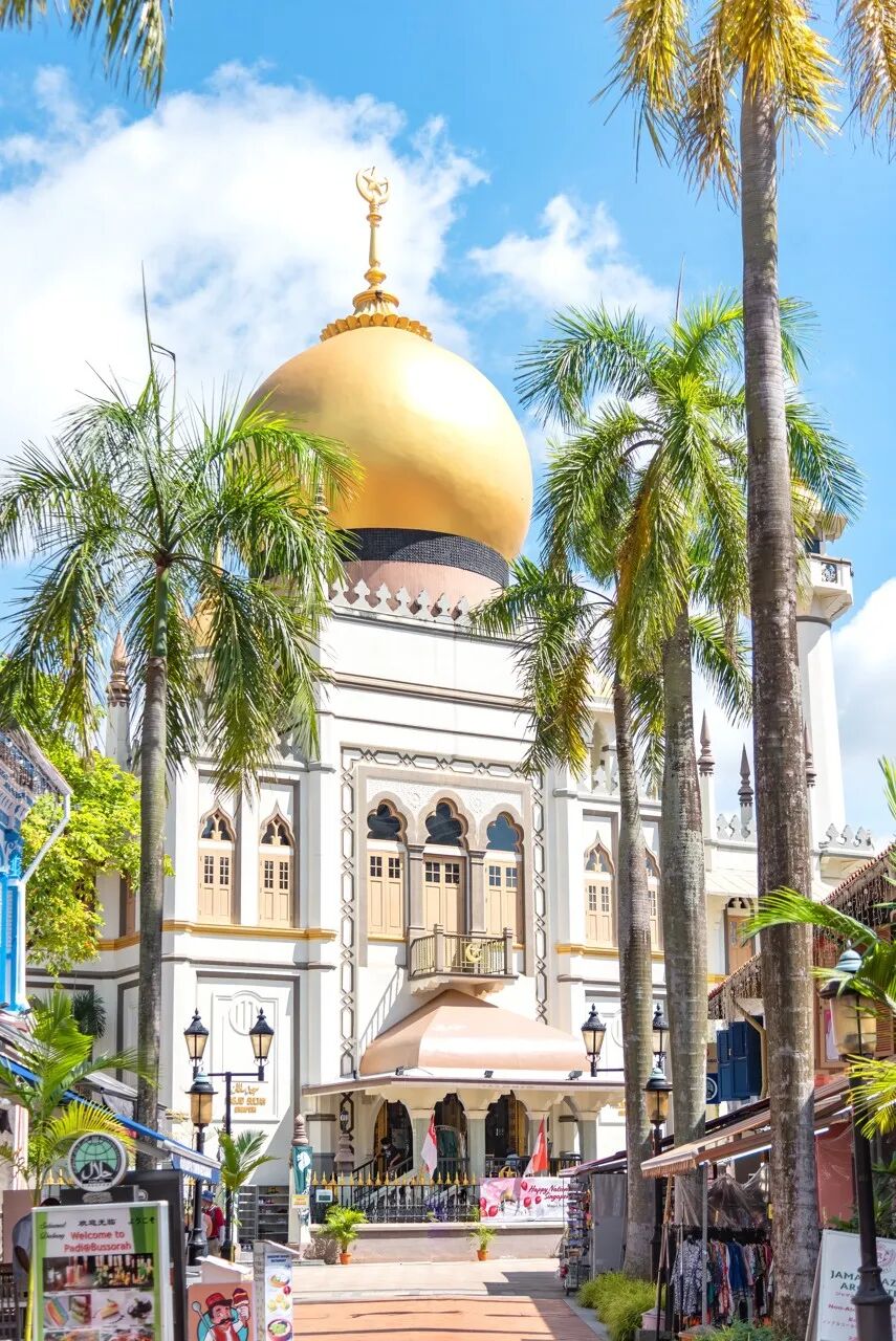 亚洲最幸福的国家，坐拥世界唯一五星机场，遍地花园，地摊都是米其林，但一不小心会赔个底朝天